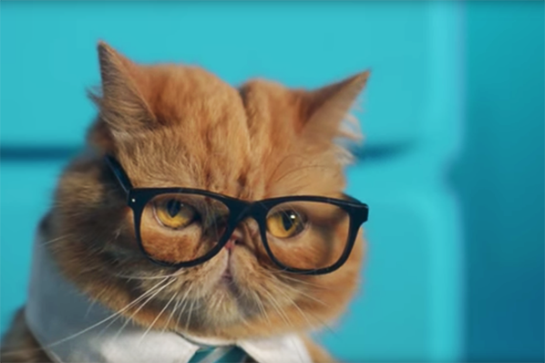 10 of the Best Ads from November: Elves, Llamas, and a Business Cat