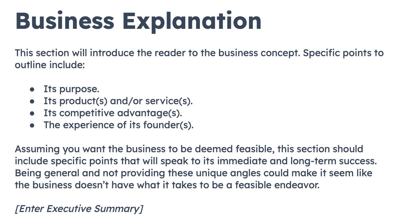feasibility study template: business explanation