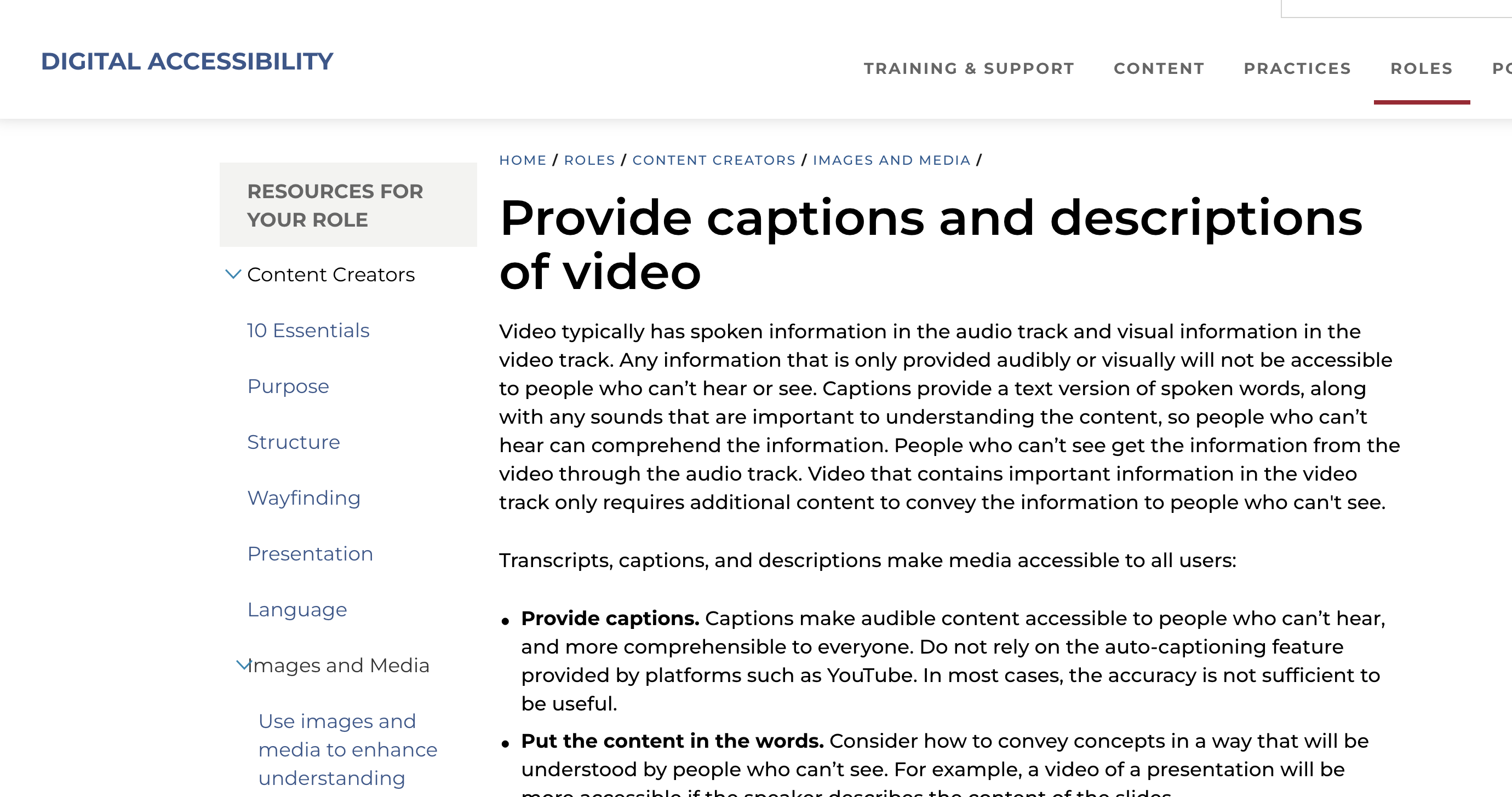 web accessibility resources; Harvard Caption and Description Principles