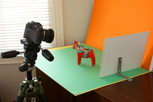 Standalone bounce card set up behind a miniature horse for shooting product photography under soft light