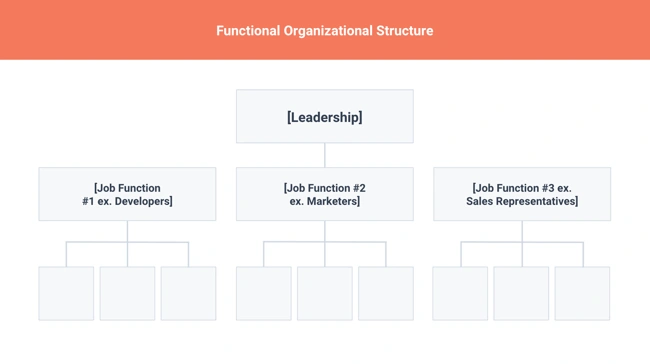 best organizational structure: functional