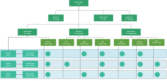 matrix organizational structure example: company
