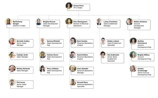 10 Types of Organizational Structures Every Company Should Consider